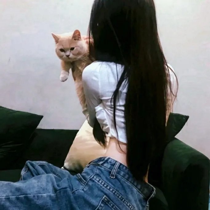 续·社长漫游记